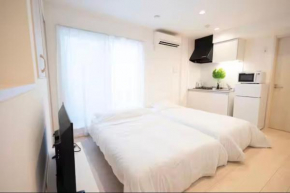 30ｍ2 spacious Free Wi-fi Close to Shinkansen 4PPL